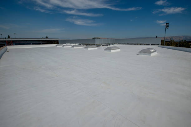 Best Cold Roofs  in Roanoke, IL