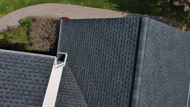 Best Hot Roofs  in Roanoke, IL